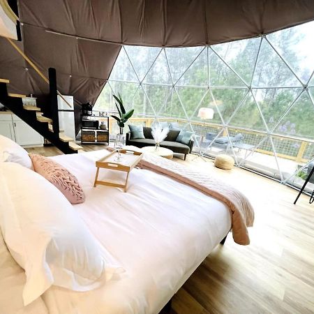Princess Dome At Nine Pines Cadiz 外观 照片